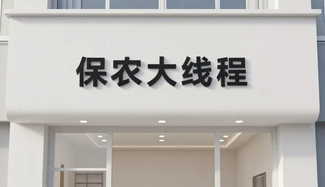 接口对接中的性能优化策略与维护要点